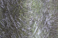 Llanarmon Mynydd Mawr fibreglass roof work